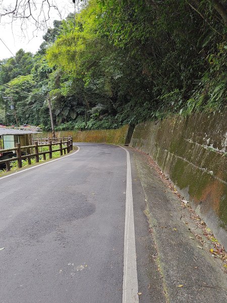 20260321大棟山系-百年大榕樹段3019056