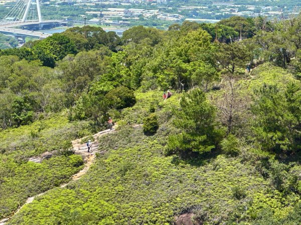 北投走軍艦岩丹鳳山出新北投3057082