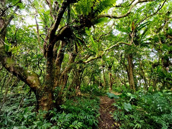 女仍山-小百岳#79-屏東縣獅子鄉2732111