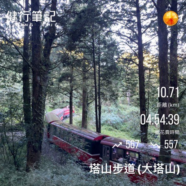 小百岳(59)-大塔山-202209251878732