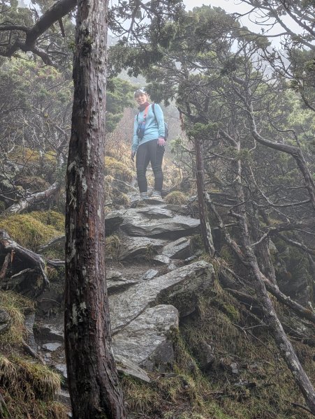 濛濛霧雨之關山補考行2879573