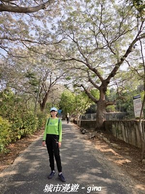 【台中大肚】大肚萬里長城登山步道3023824