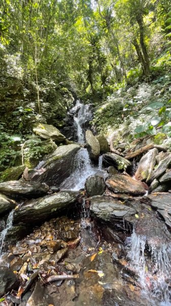 烏來阿玉溪山/西坑林道/探勘派出護管所彈藥庫遺址至獅坑橋2582016