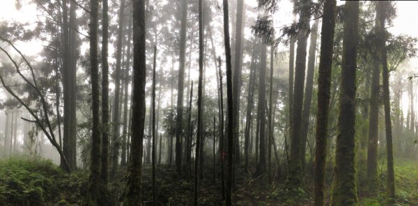 寒溪古魯林道、大元山1577348