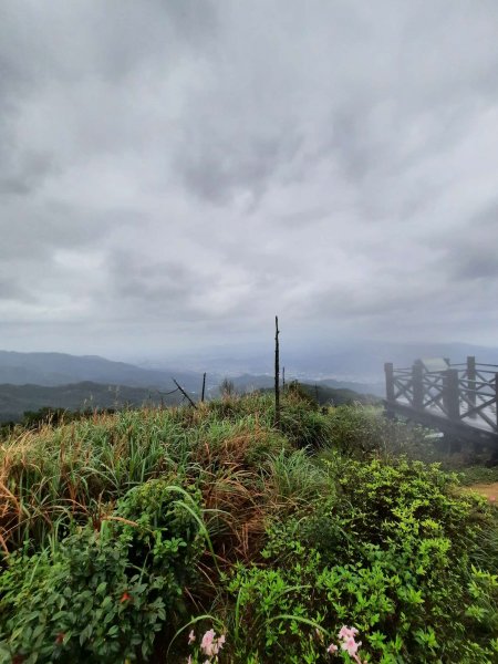 20230226 基隆姜子寮山（小百岳）2044665