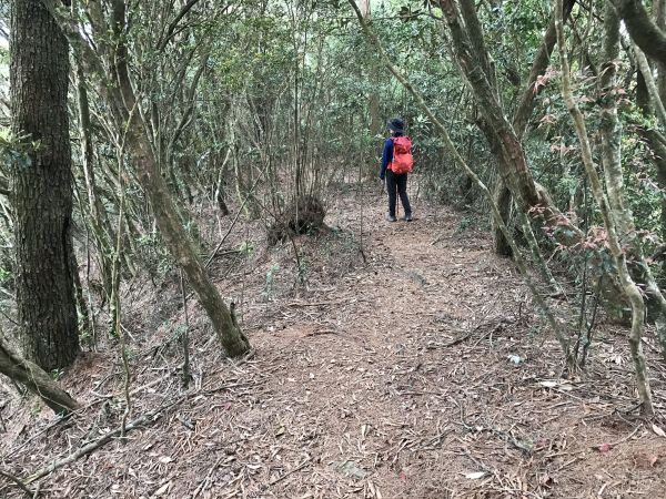 登橫嶺山環走自然步道118209