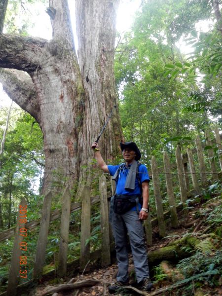 20180707雲海民宿+鎮西堡B區神木363238