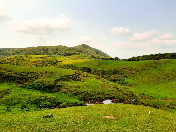 走遍陽明山：擎天崗系｜景遠心自闊，潺潺溪水聲洗去一身憂2113828