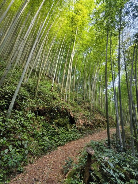 【石壁】五元二角連走木馬古道O繞2871562