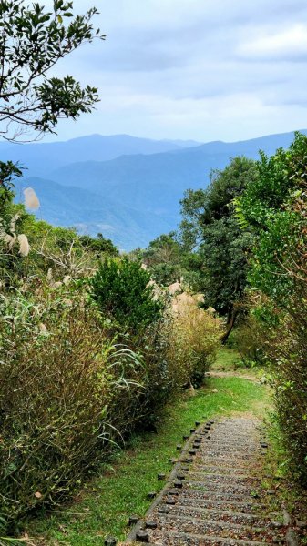 皇帝殿，獅公髻尾山，指南宮千階步道（竹柏參道），十六分山，貓空尖，絹絲瀑布步道1971359