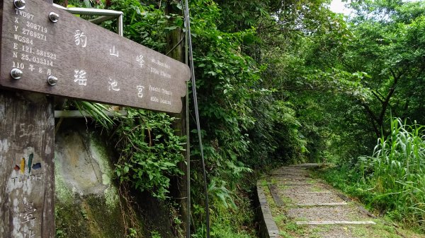 豹山環型步道2226653