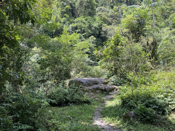 2025_0713 松羅步道2836719