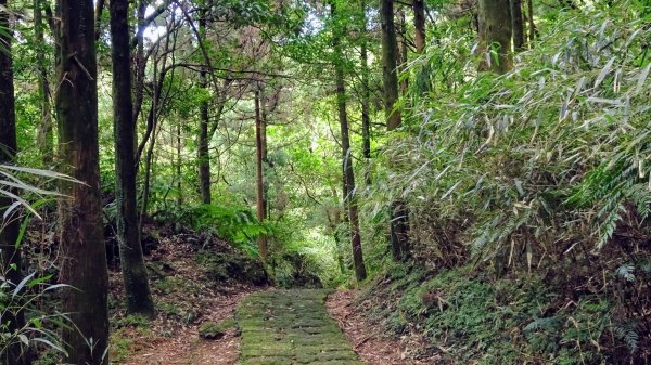 環七星山步道,百拉卡步道,清天宮1794816