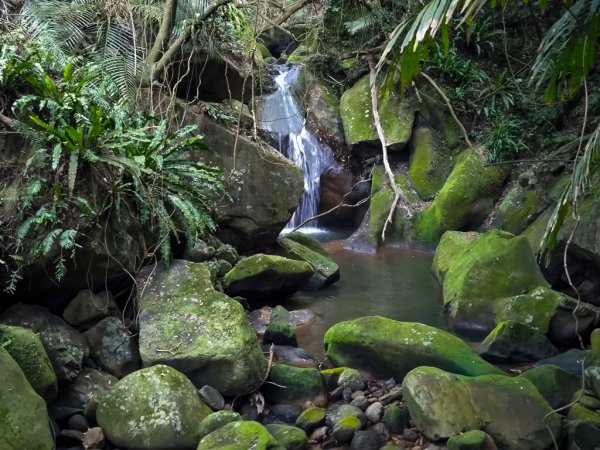 2026-02-22 內湖雙心縱走3006789