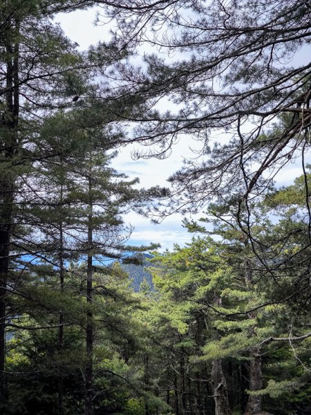 2026-05-23 小雪山防火巷、拾丸山南峰3062360