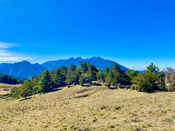 啟動高山度假模式~金牌三小隊之馬博橫斷8日2964987