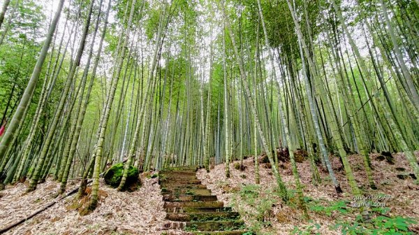 古坑嘉南雲峰.好望角.石壁山O形1500440