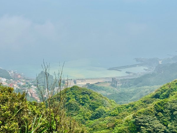 無耳茶壺山 看風景3026445