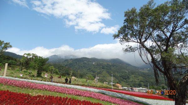 午餐的約會-北投三層崎/貴子坑845546