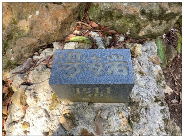 烏尖連峰縱走18基石 ( 唭哩岸山、軍艦岩、丹鳳山 )2981001