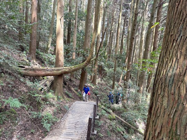 年輕人爬山趣～ 加里山 3/11 20232129269