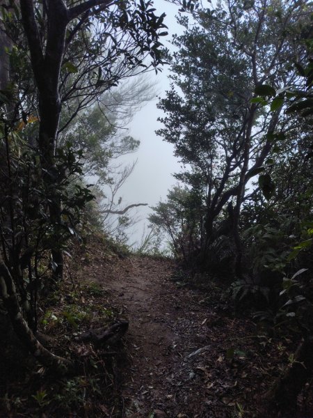 苗栗關刀山2975101
