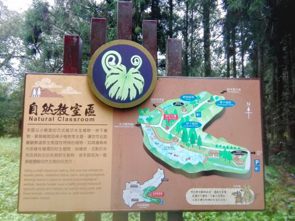 原始自然 〜 福山植物園462832