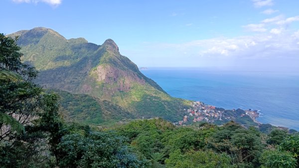 找一個晴天去爬山~金瓜石芒花之旅2962414