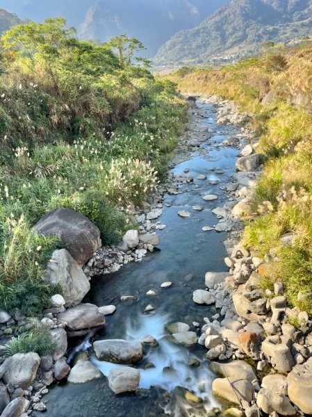 雪山坑登山步道尋巨人2978281