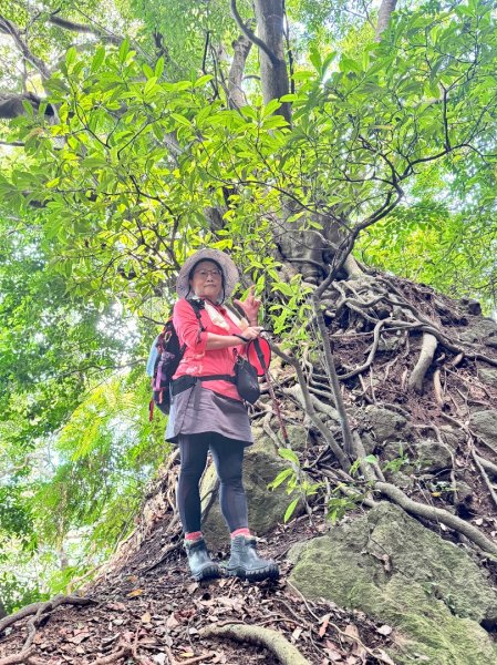 天母水管路走陽明山尖山2881323