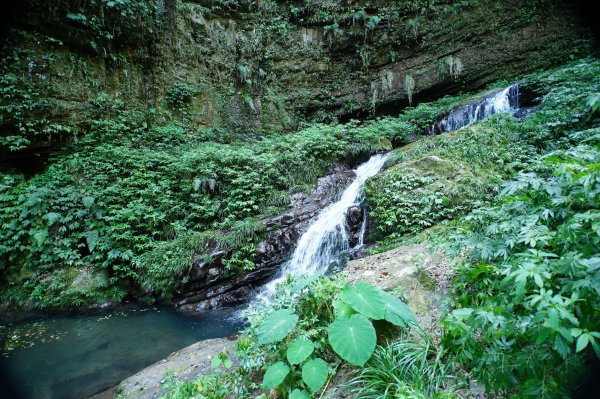 新竹 五峰 鵝公髻山2916854