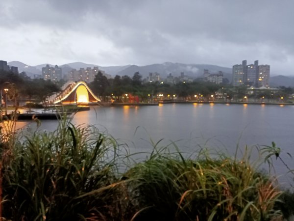 大湖公園《雨中夜行》1904700