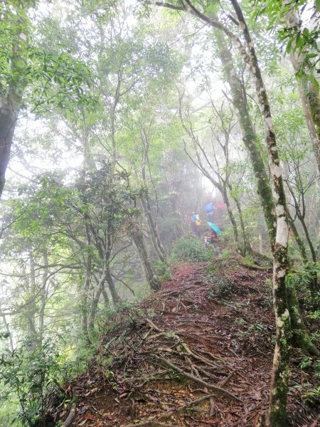 飆汗換挑戰。(高島縱走) 高台山x島田山743963