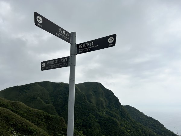 桃源谷步道(內寮、灣坑頭山、大溪)2757005