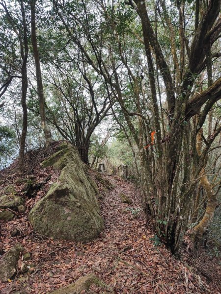 九份二山-小百岳#47-南投縣國姓鄉2471129