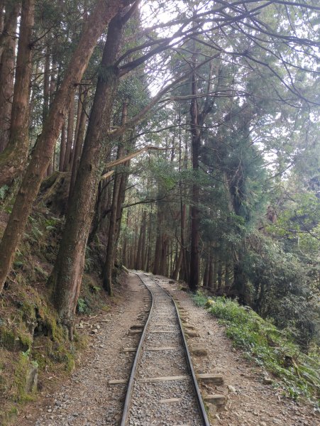 2026.02.14－特富野古道3013700