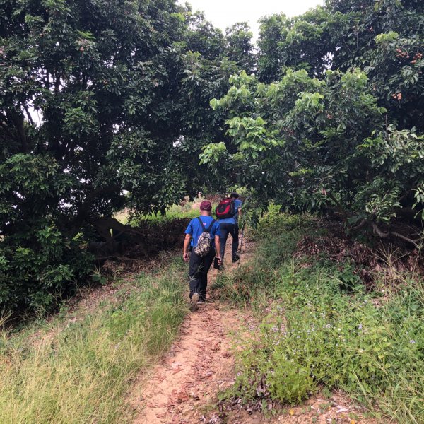 台灣小百岳No.046 阿罩霧山1102196