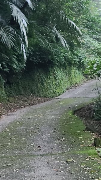 2025-01232淡蘭古道北二段(燦光寮古道到澳底)2696550