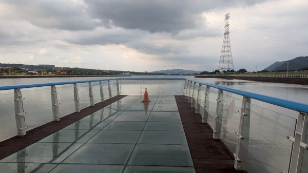 114.06.21山豬湖自然生態之行2819034