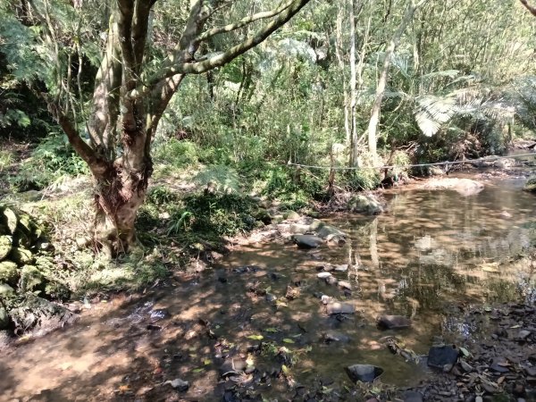 崩山坑古道+東柑腳山+後寮仔嶺+後寮子古道+後寮仔保甲路O型2750941