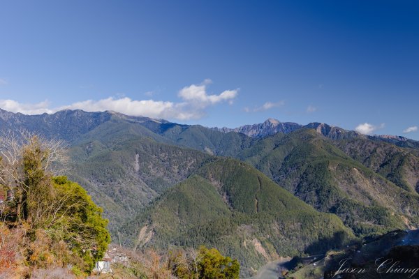 福壽山千櫻園櫻花季初開2717421