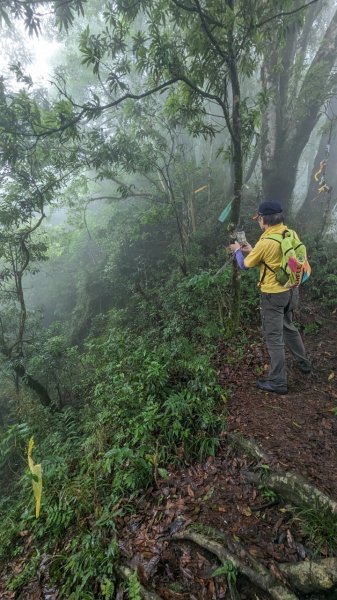 113.06.01魯壁山-東穗山之旅2529898