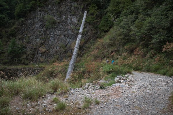 大雪山200林道 - 北三錐山1493302