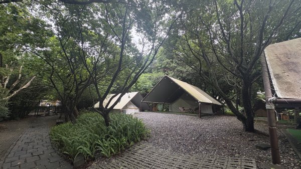 紗帽雲海3074315