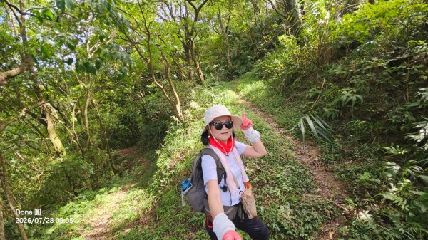 平湖西步道.內平林山.大坑山.平湖東步道O走全紀錄3094136