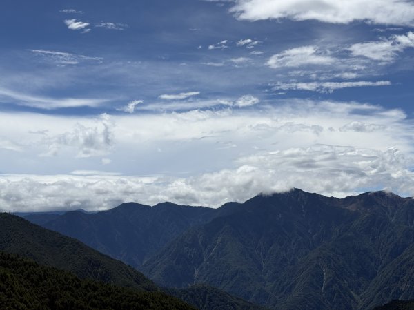 84稍來小雪山步道及天池神木11508183110061