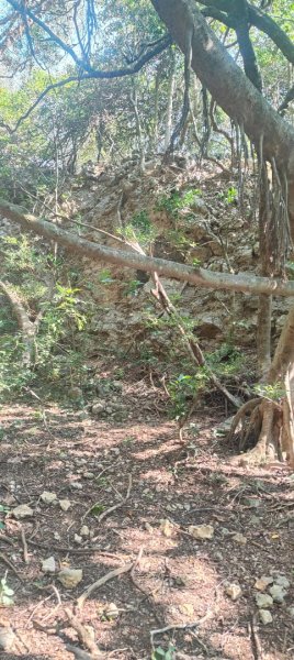 高雄壽山、半屏山2943055