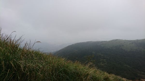 106.02.04陽明山東西大縱走110207