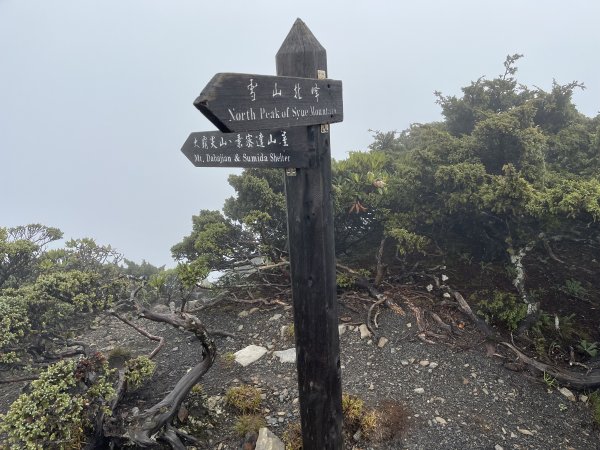 聖稜線I 2023_0525(D3-1) 雪山北峰2166285