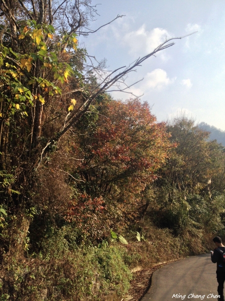 【山岳之美】~馬那邦山5760